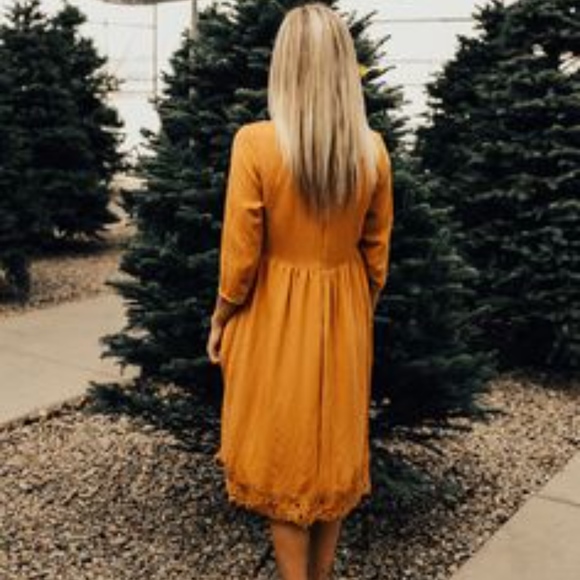 ROOLEE Pura Lace Midi NWOT - Picture 3 of 6